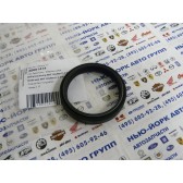 OIL SEAL RING 48X57,9X11,4